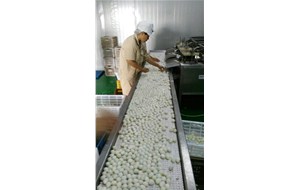 我公司鵪鶉蛋生產(chǎn)線螺旋煮蛋機(jī)獲得國家專利證書