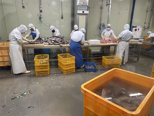 你知道袋裝即食魚應(yīng)該如何殺菌效果更好嗎？