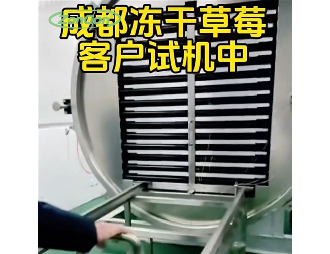 草莓凍干機(jī)