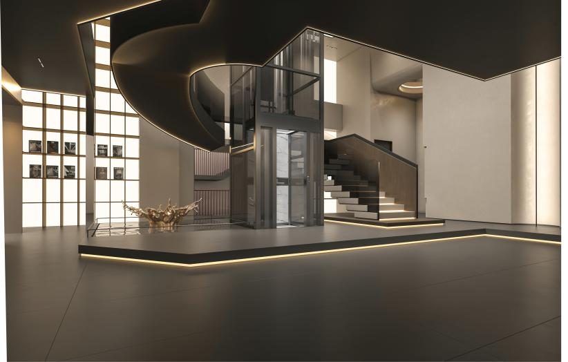 VILLUX別墅電梯丨讓你震驚的家長什么模樣？